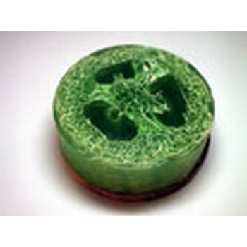 LavenderLori - Aloe Vera Loofah