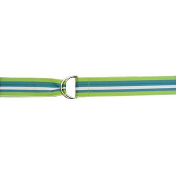 Amici Accessories - Just Dan inchDinch Ring Belt
