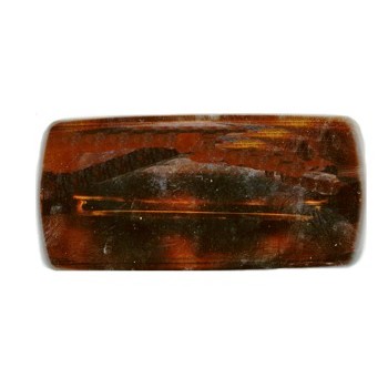 Karina - Thick Hair Curved Barrette