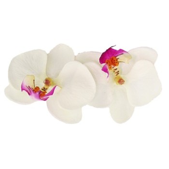 Karin's Garden - Mini Phalaenopsis Orchid Barrette - White (1)