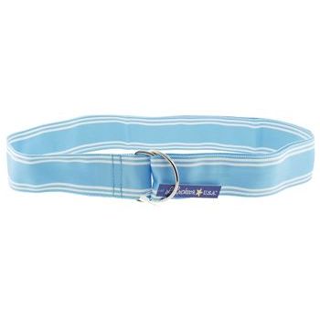 L. Erickson USA - Varsity Ribbon Belt  - 1 1/4inch Wide - Sky Blue w/White Stripes