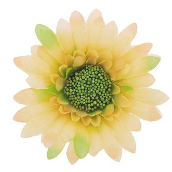 Karen Marie - Le Fleur Collection - Medium Daisy - Apricot (1)
