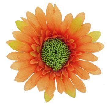 Karen Marie - Le Fleur Collection - Medium Daisy - Peach (1)
